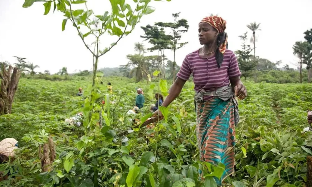 femme-africaine-agriculture (1)