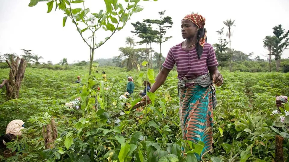 femme-africaine-agriculture (1)